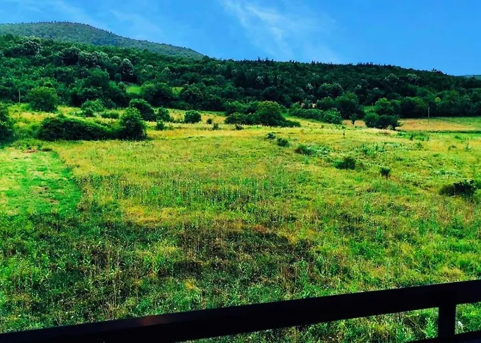 Pan * ソコバニャ